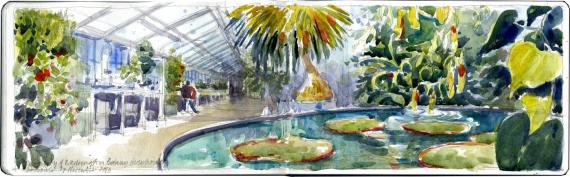 sketch of the UW greenhouse in pencil and watercolor by Stephanie Bower, Seattle Urban Sketcher