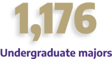 Text reading '1176 undergraduate majors'