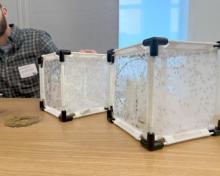 Mosquitoes with Assistant Professor Willem Laursen