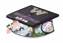 Biology-themed graduation cap with "W," "Biology," "2026" and nature illustrations including a bee, flowers, geese, a seal, and a microscope image of cells.