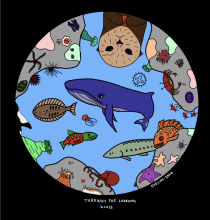 Illustration of various marine animals around a blue whale in a circular underwater scene.