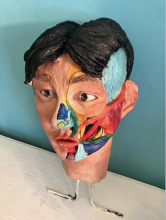 A sculptural bust with multicolored abstract painting on a blue background.