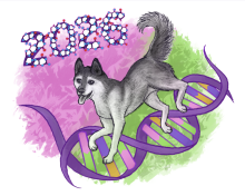 A gray and white husky walks on a purple DNA strand with "2026" molecular structure in the background.