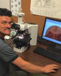 Portrait of <a href="/people/orlando-combita-heredia" hreflang="und">Orlando Combita Heredia</a>