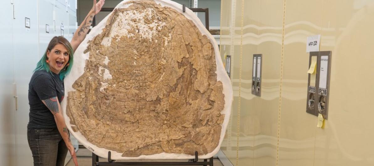 Museum staff standing next to large clam fossil