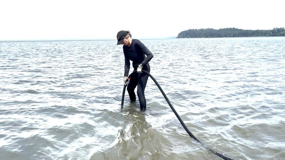 Jennifer Ruesink uses experimental concrete vibrator while standing in water