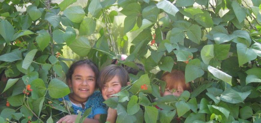 HIdden heads in the beans