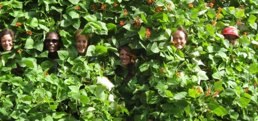 Staff hiding in the Bean tower