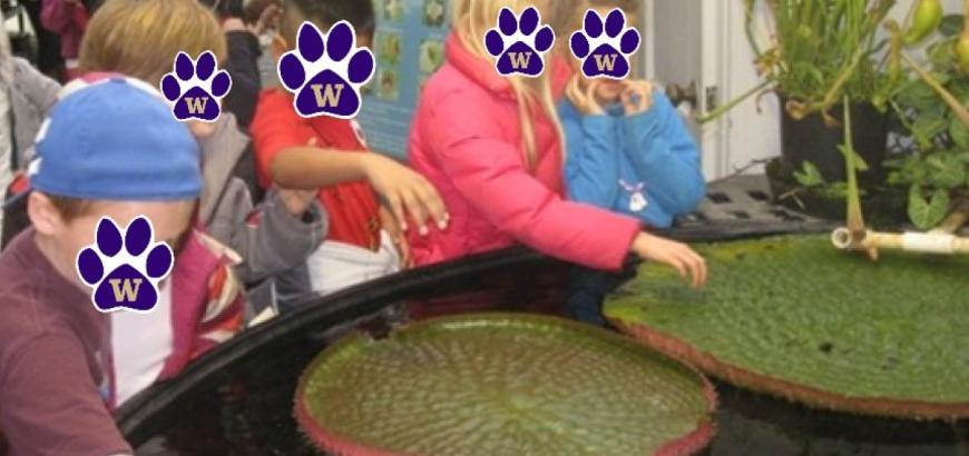 Children visitors to the Greenhouse tank, circa 2012