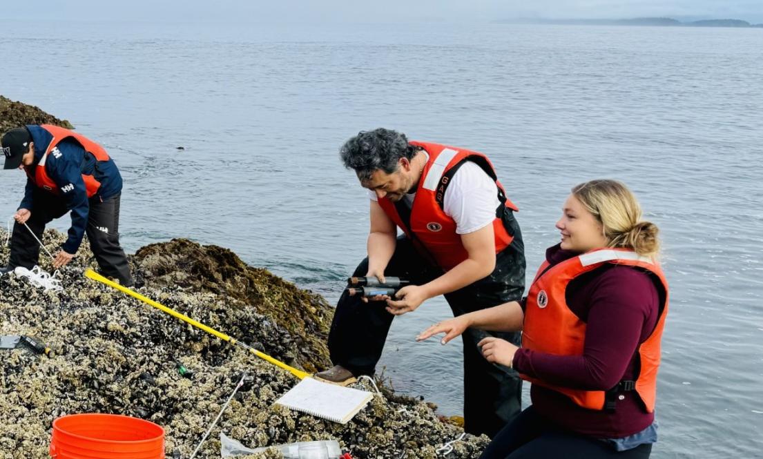 People conducting research seaside