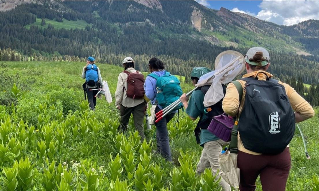 students hiking in a mountain meadow