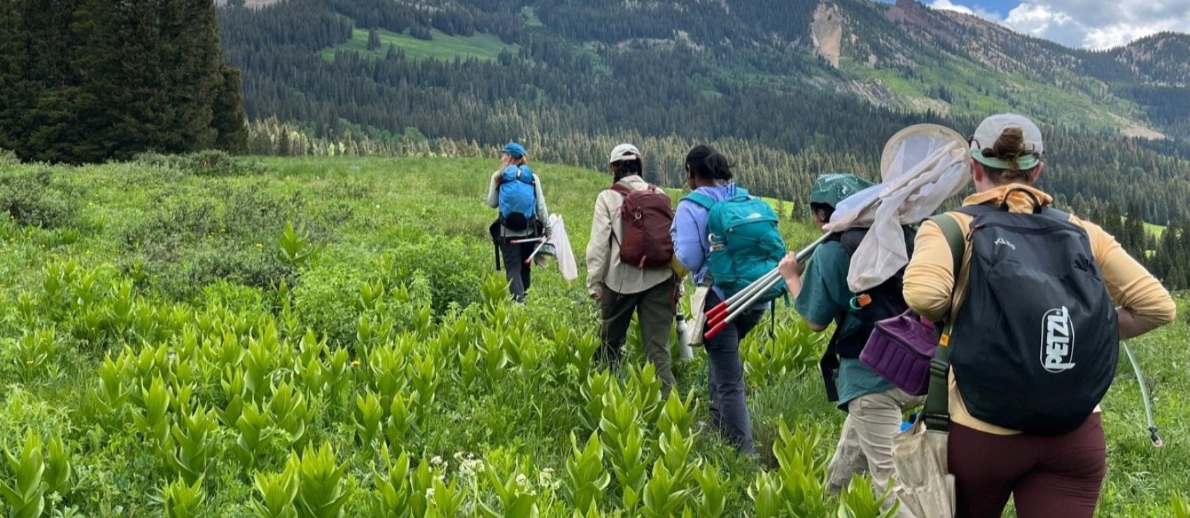 students hiking in a mountain meadow