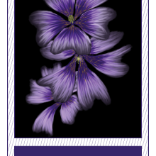 Three overlapping purple flowers on a black background with text below.