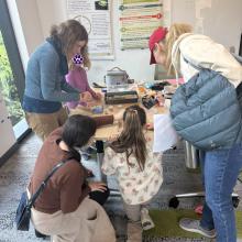 Caterpillar experiments with the Buckley Lab