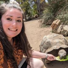 Brown haired woman feeding a Galapagos tortoise lettuce. The woman's fingers are worryingly close to the tortoise's mouth. 