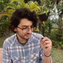 Felipe holding a Green Hermit