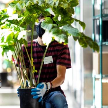 Person holding potted plant
