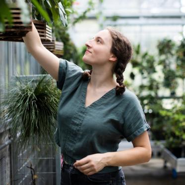 Greenhouse staff working
