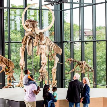 Patrons viewing a mastodon skeleton at the Burke Museum